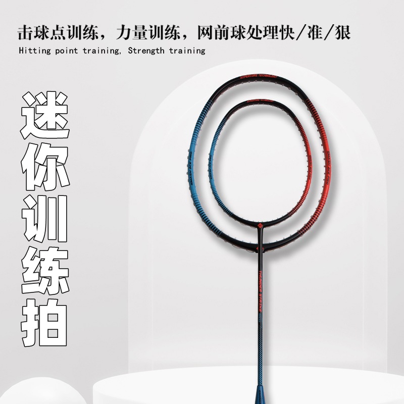 Badminton Photo - バドミントンラケット フルカーボン ミニトレーニングバドミントンラケット 大人練習用 小型フレームバドミントン